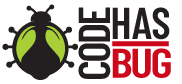 CodeHasBug